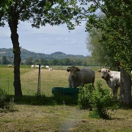 Gite A La Ferme De La Bouriette Revel  Exteriör bild