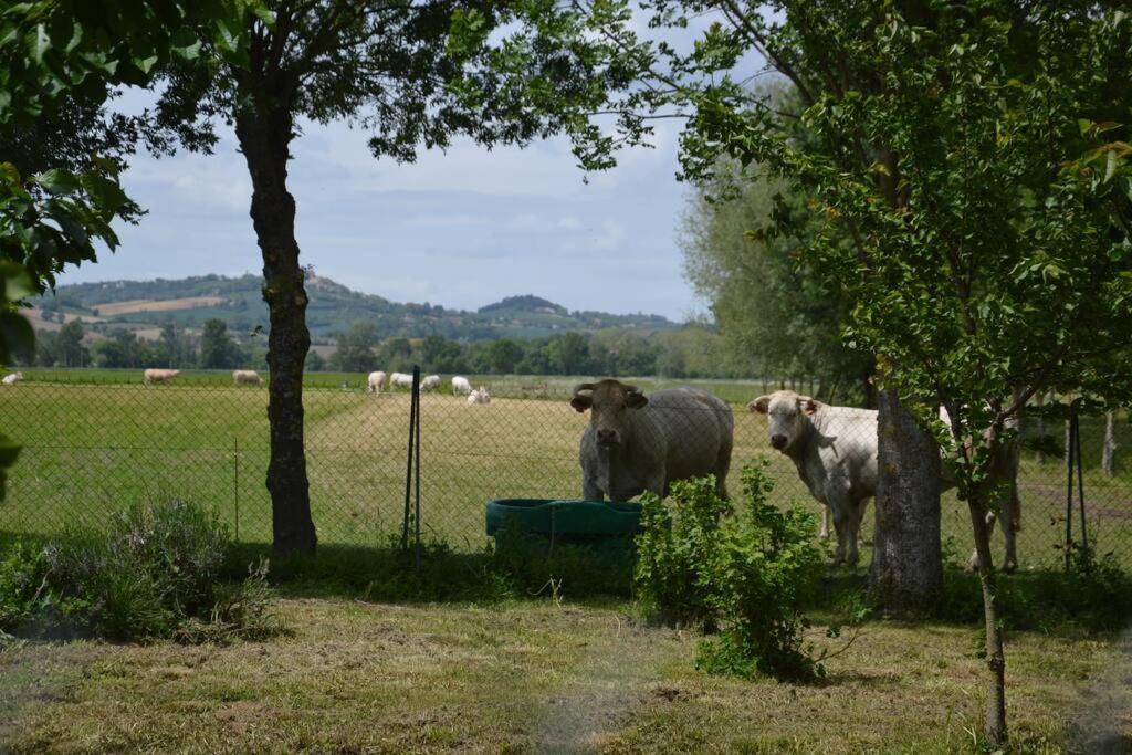 Gite A La Ferme De La Bouriette Revel  Exteriör bild